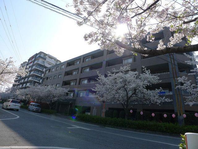 コアマンションネクステージ平成さくら通