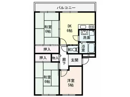 サンライズ青山(3DK/3階)の間取り写真