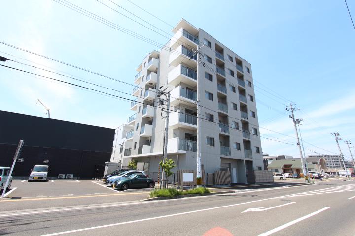 BRANDZ TOMIZAWA