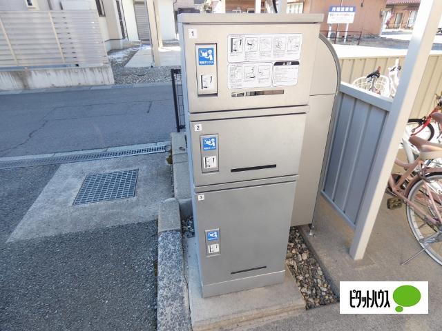 ベイリーフ