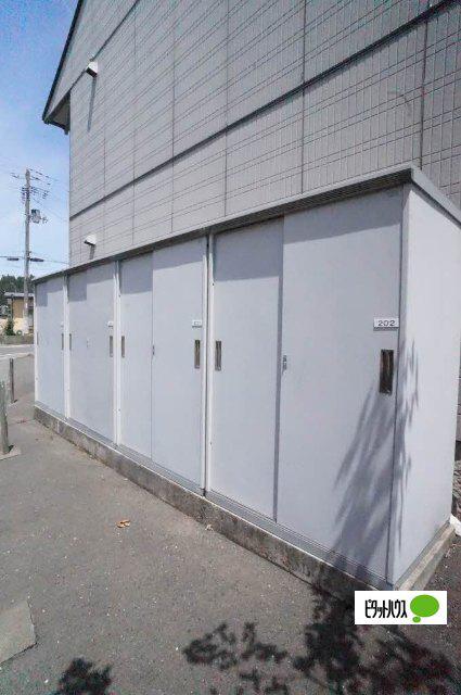 エヴァーグリーン
