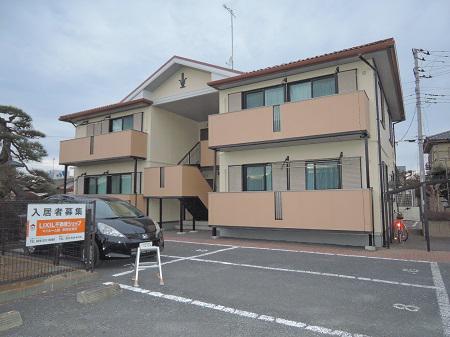 ステラ・エース