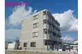 りんどうII