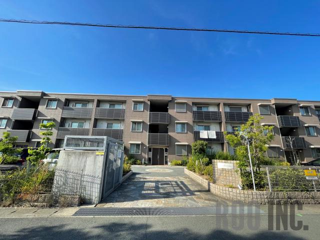 ラヴィ アンソレイエ