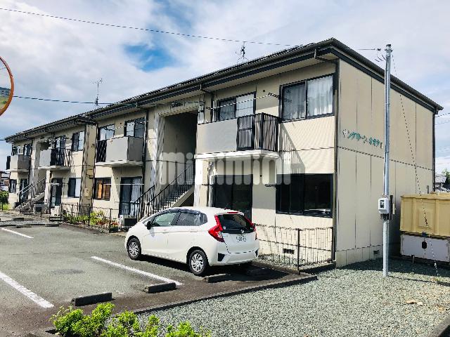 サングリーンオオタ B