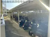 カーサー川口