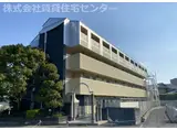 カーサー川口