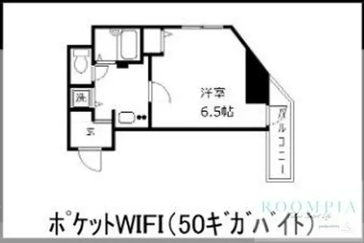 カスタリア新宿 5階階 間取り