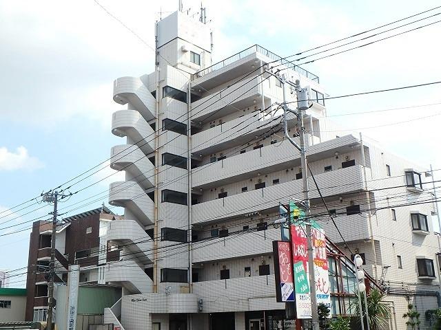 ホワイトパレス万年青