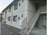 テラス花水木