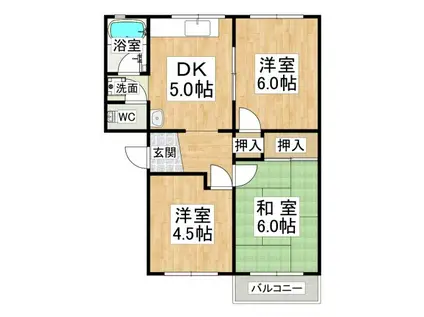 神戸電鉄三田線 五社駅 徒歩18分 4階建 築54年(3DK/3階)の間取り写真