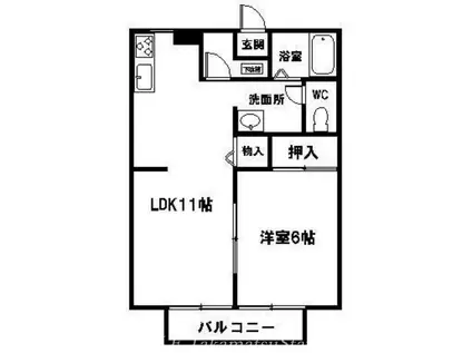 サンライフ植松A(1LDK/1階)の間取り写真