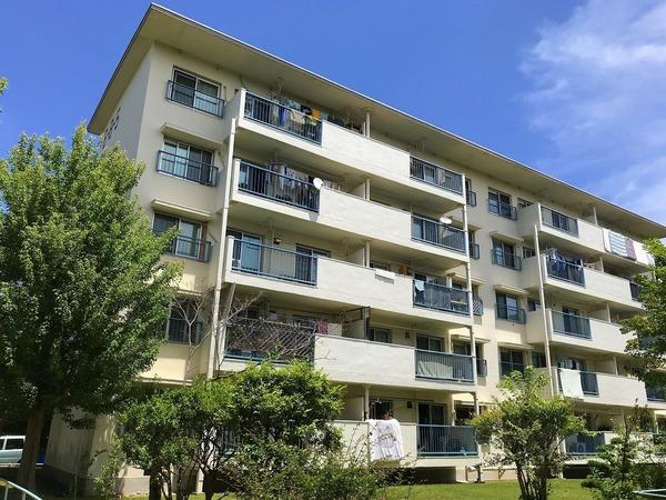 団地6-8-5(2LDK/1階)