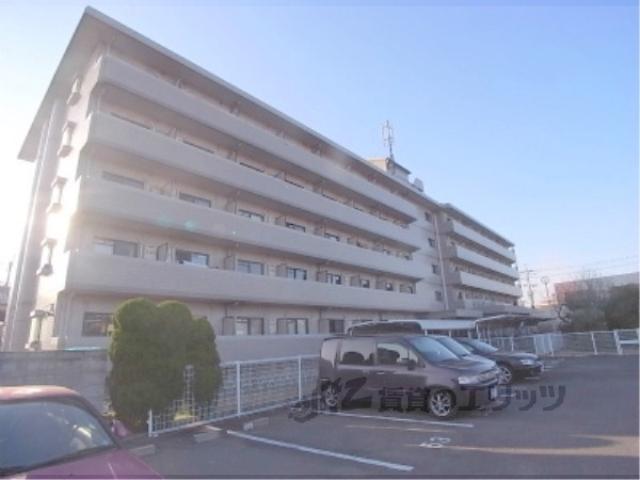 コリンノルド