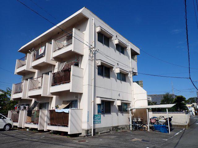 カーサ樹
