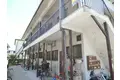 中松文化