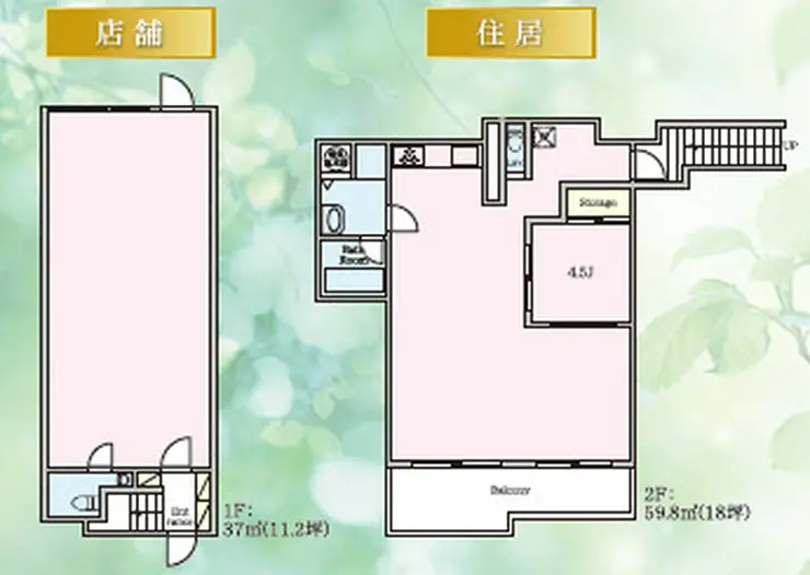 プレジデントハイツ根津 1階階 間取り