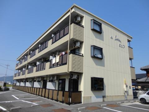 リンピアピュア