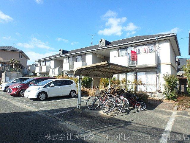 カームネス大谷