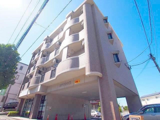 ステラ上の原