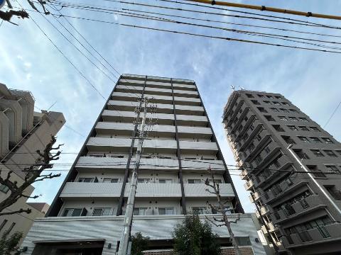 プロシード金山