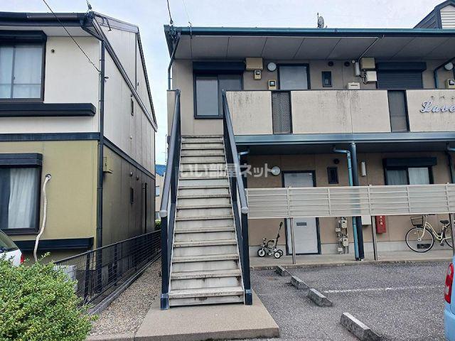 ラベンダー