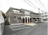ひまわり