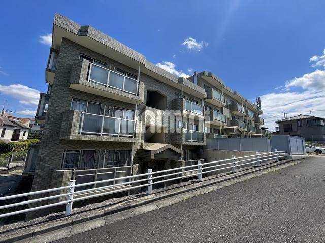 D.Y.東戸塚