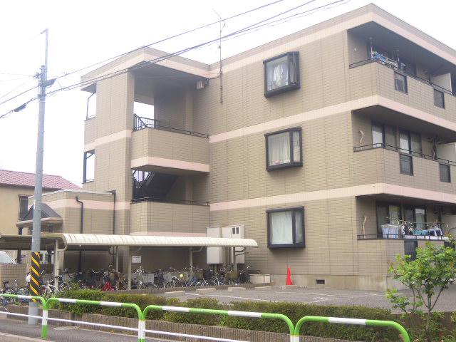 エーデルワイス