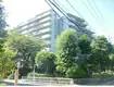 コスモ相模原スカイエッセ(3LDK/1階)