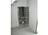花水木III