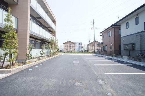 ルーシーエメラルド