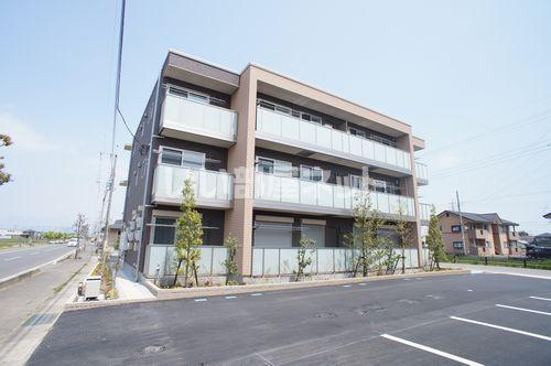 ルーシーエメラルド