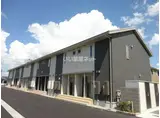 キキョウK.TツバキK.T キキョウK.T