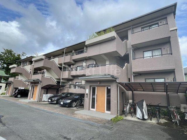 セラ・ステージ新横浜(2LDK/3階)