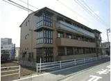プリムローズ