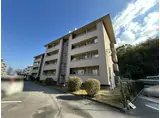 南円明寺ヶ丘団地15棟 402号
