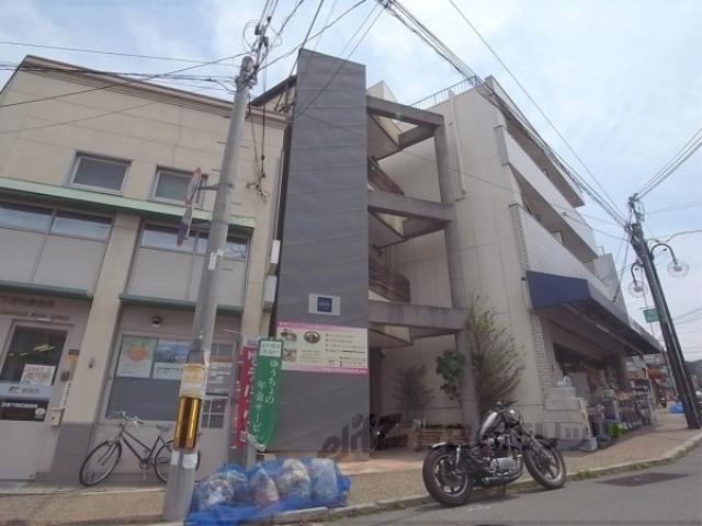 EARTH COURT 清水
