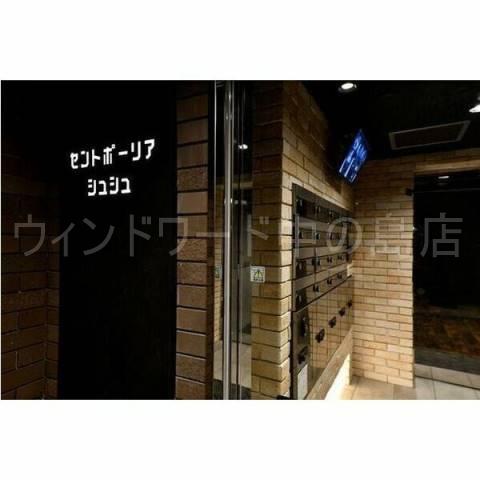 セントポーリアシュシュ