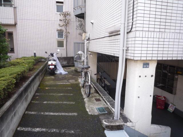 ルピナス
