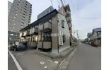 サンフラワーM