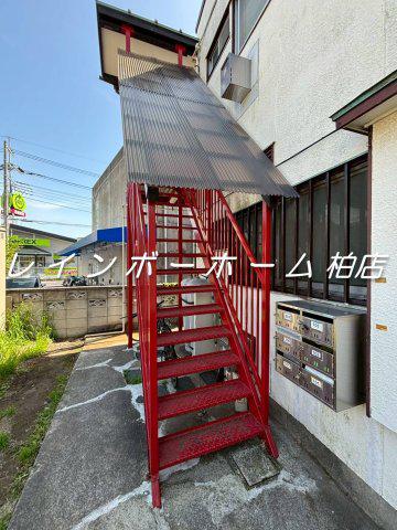 PATIO柏