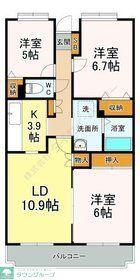 カサグランデ(3LDK/1階)の間取り写真