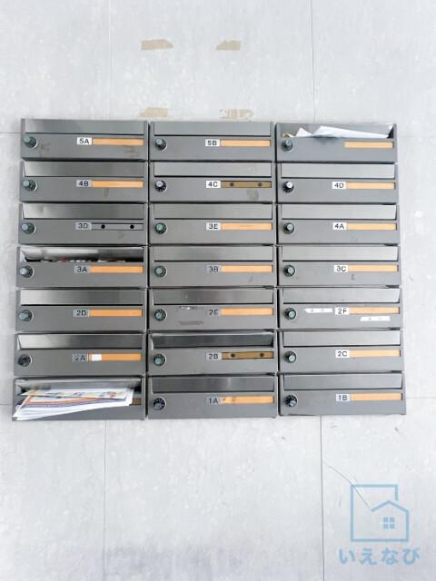 スティープルMS
