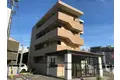 シェリーアネラ