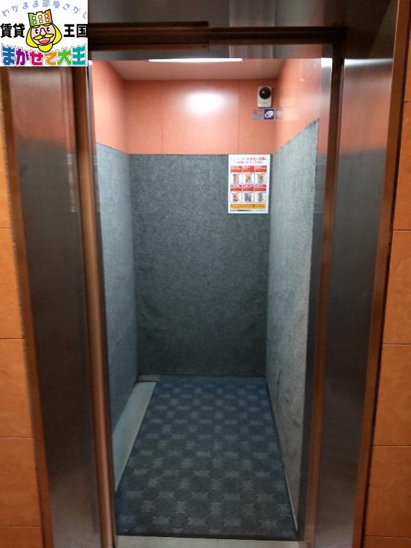 ディノ馬町