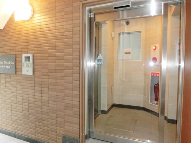 ARBOL WASEDA