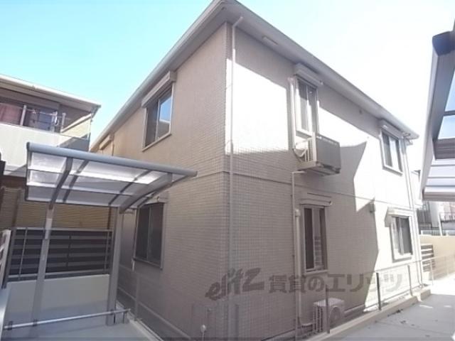 オリーブ