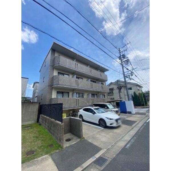 サンシャイン白菊