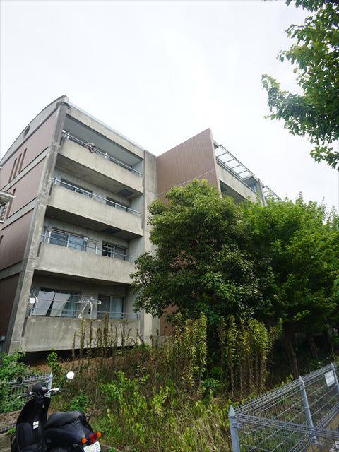 323BLD